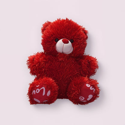 Adorable Bear Gift for Valentine's Day